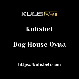 Kulisbet Dog House Oyna